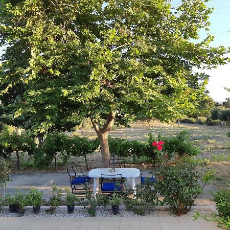 Swan House Panoramic View - Near The Sea Villa Ziparion Exterior photo