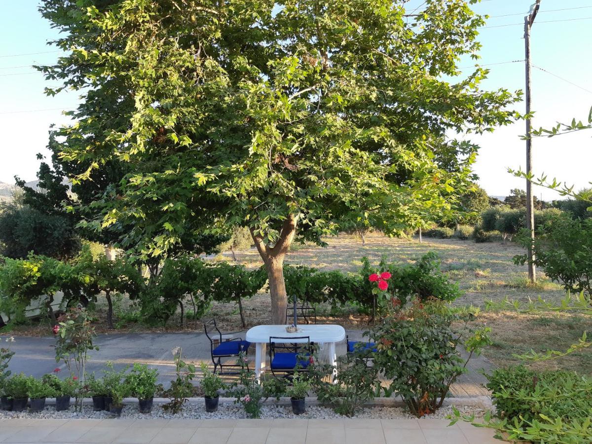 Swan House Panoramic View - Near The Sea Villa Ziparion Exterior photo